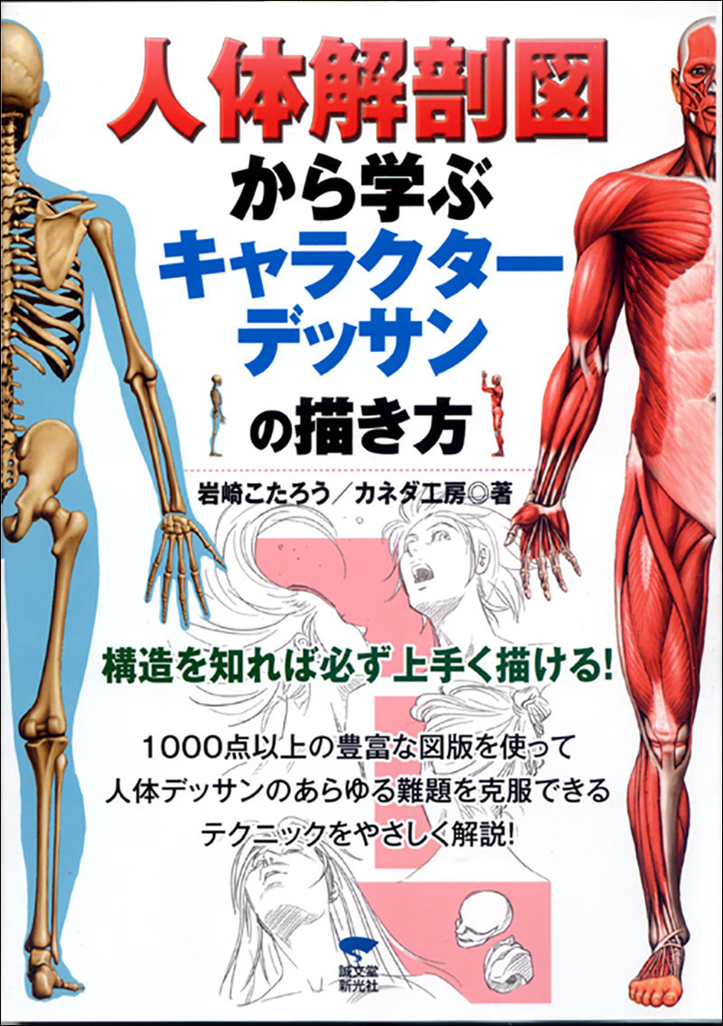 人体解剖図から学ぶ キャラクターデッサンの描き方 | 株式会社誠文