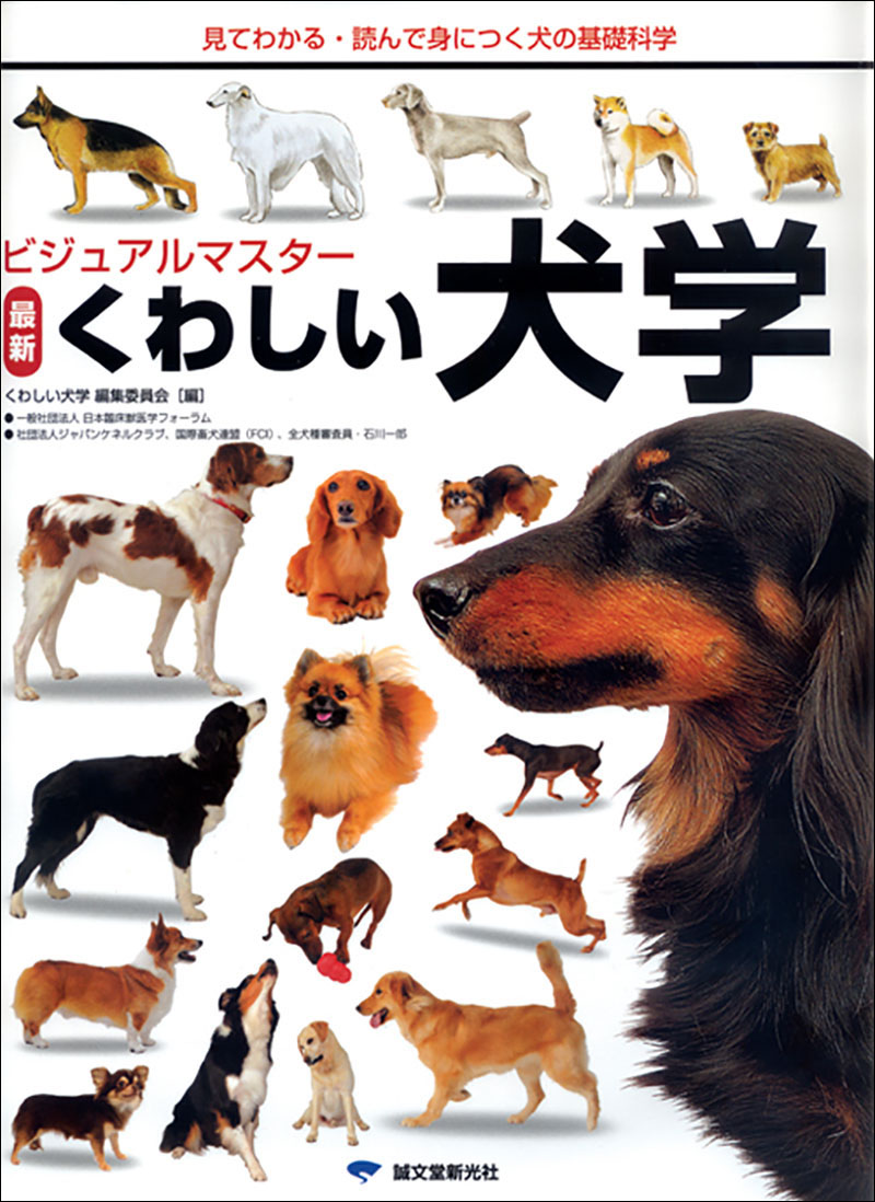 犬のエアロビクス/誠文堂新光社/ウォレン・エクスタインエクスタインウォレン発行者 - lex-consensus.pl