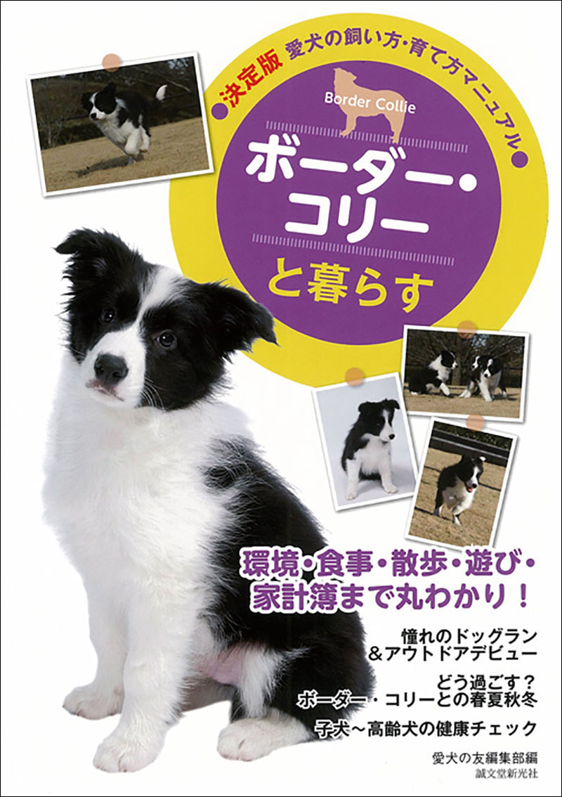 ボーダー・コリーと暮らす | 株式会社誠文堂新光社