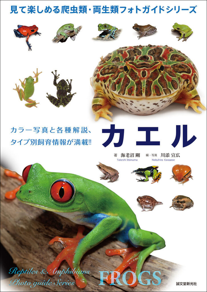 カエル 株式会社誠文堂新光社