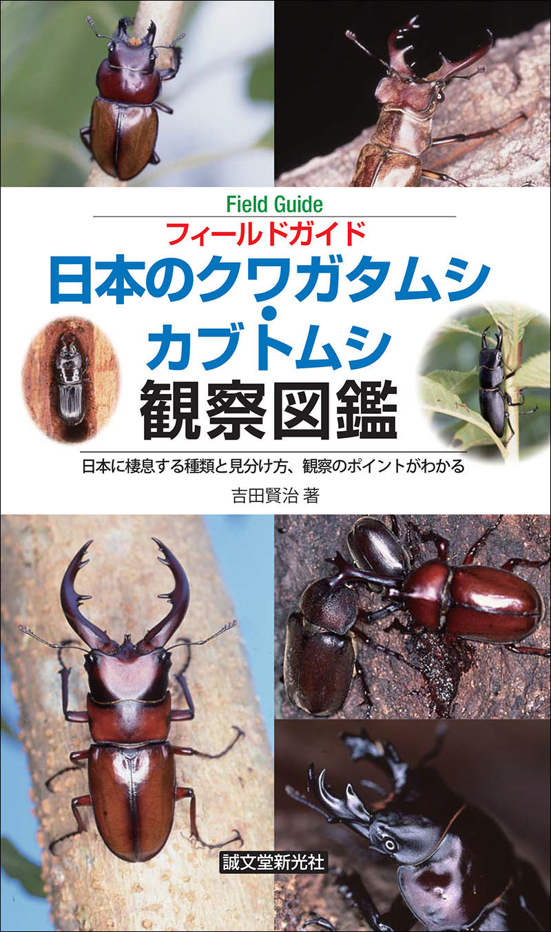 日本のクワガタムシ・カブトムシ観察図鑑 | 株式会社誠文堂新光社