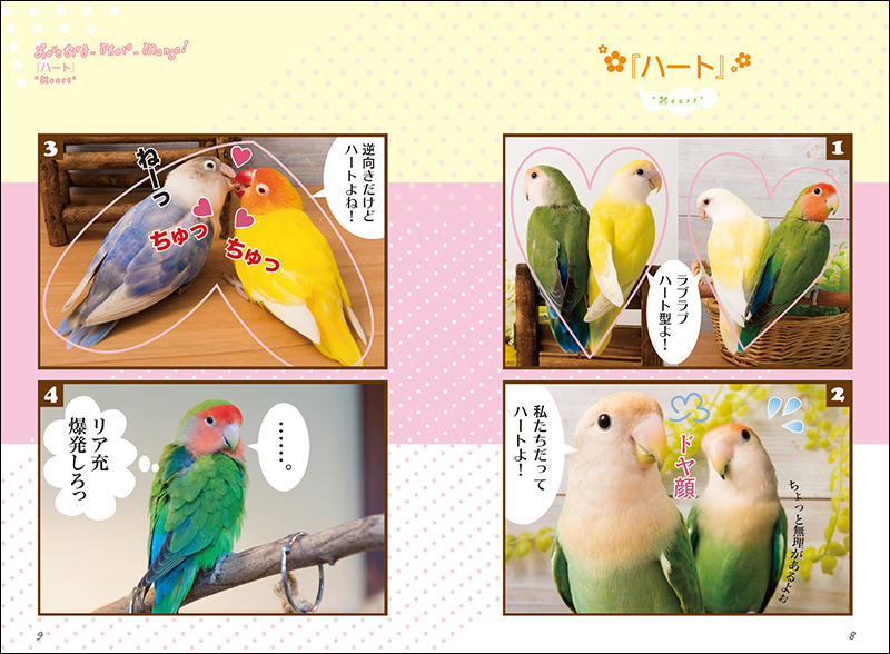 だからやめられない コザクラ ボタンインコ生活 株式会社誠文堂新光社