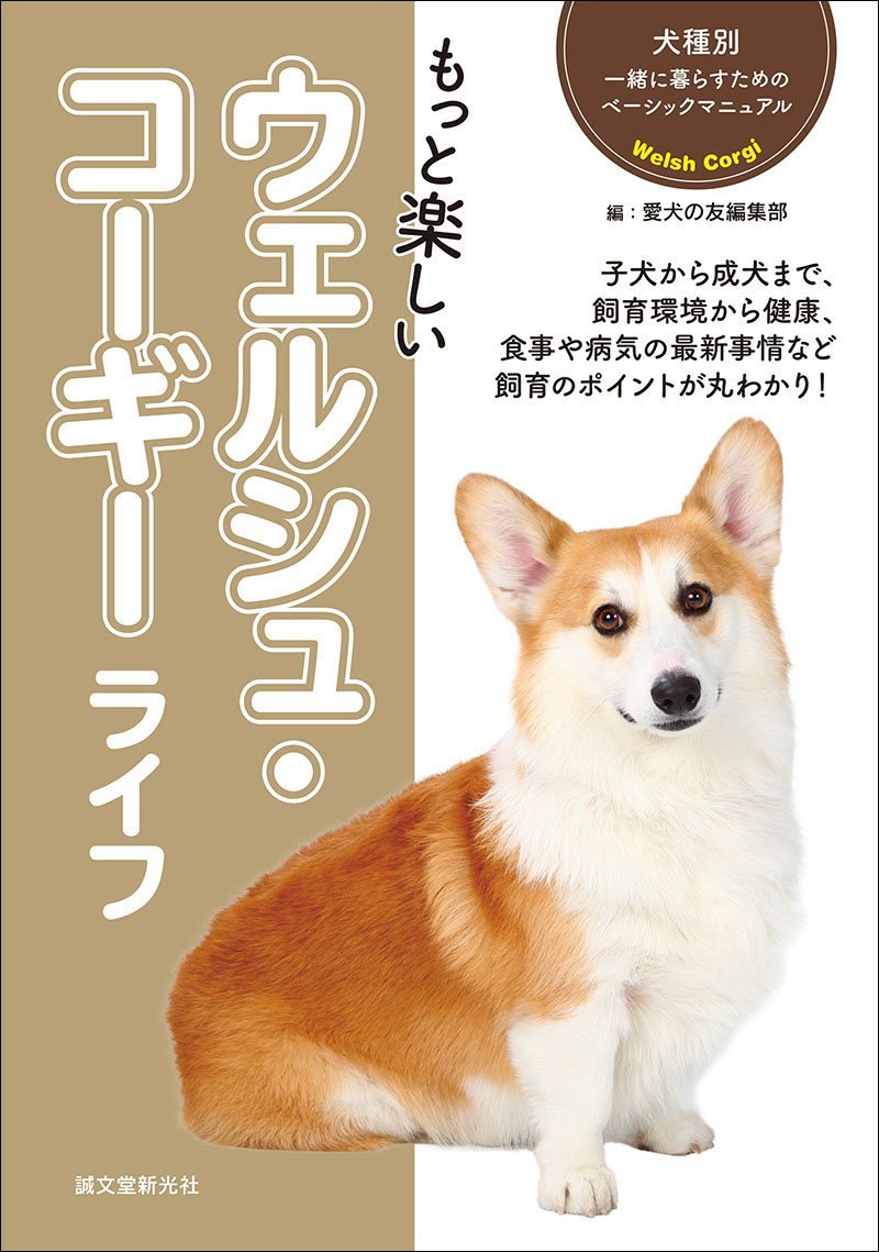 コーギー様 サイズ確認ページ - 犬用品