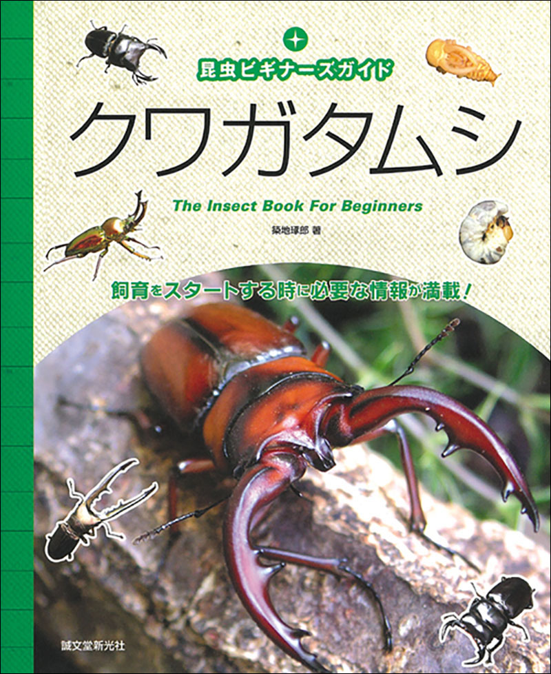 クワガタムシ | 株式会社誠文堂新光社