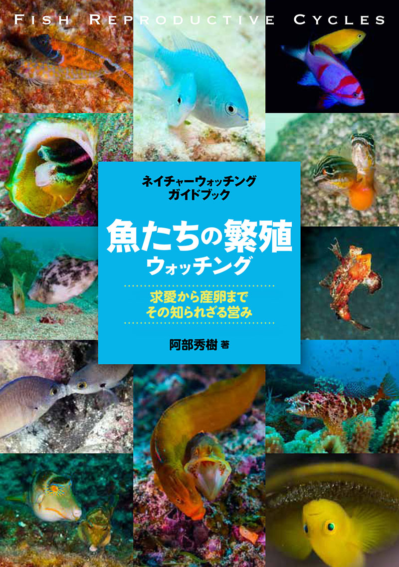 魚たちの繁殖ウォッチング 株式会社誠文堂新光社