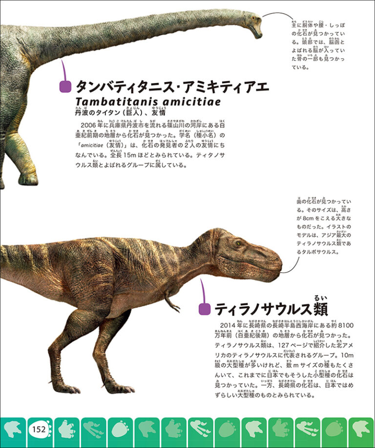 綺麗なトリケラトプス 恐竜 イラスト リアル 動物ゾーン